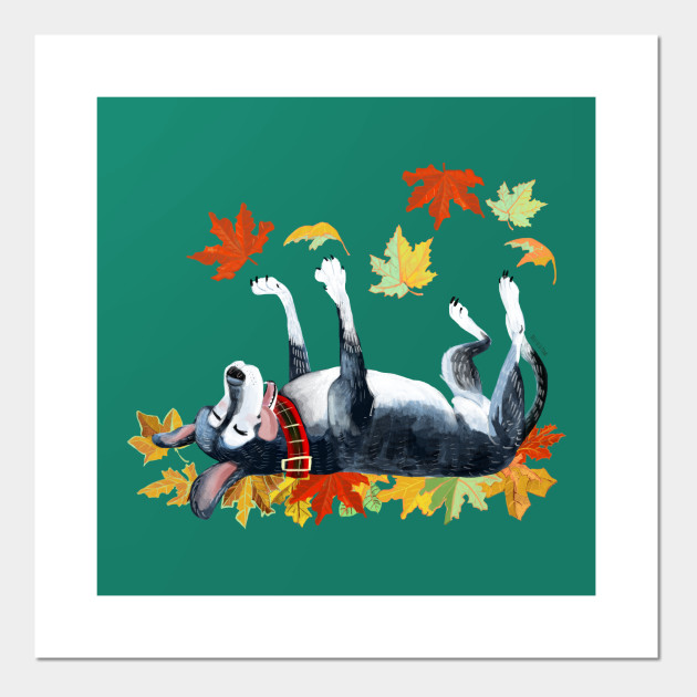September Angel Turquoise